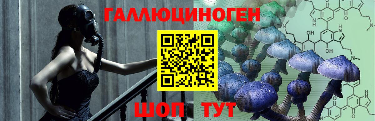 Орехово-Зуево  Галлюциногенные грибы Psilocybe  купить  цена  Вход с VPN 
